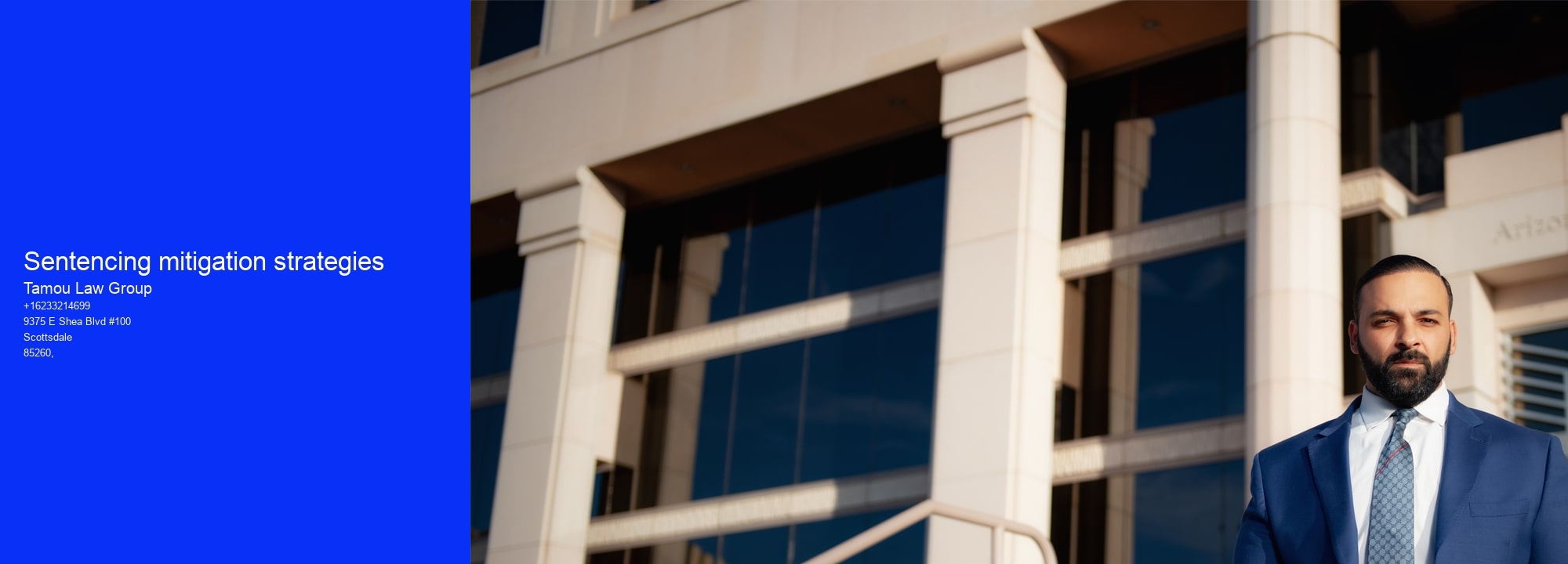 Sentencing mitigation strategies